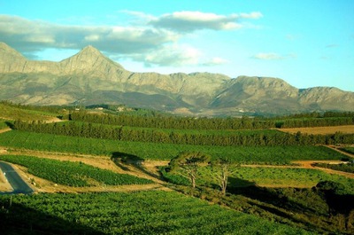 Farm For Sale in Somerset West, Somerset West
